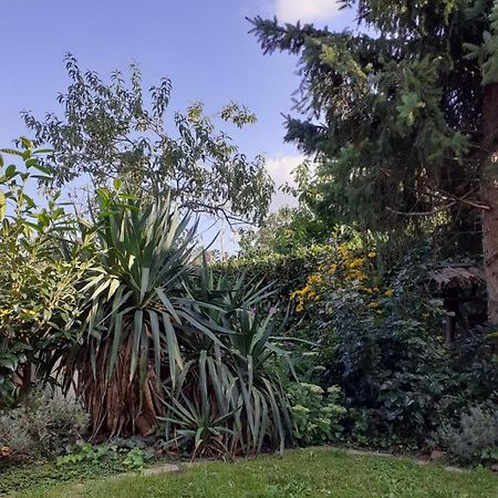 Gemütliche zentrumsnahe Ferienwohnungen mit Gemeinschaftsgarten Wittenberg Exterior foto