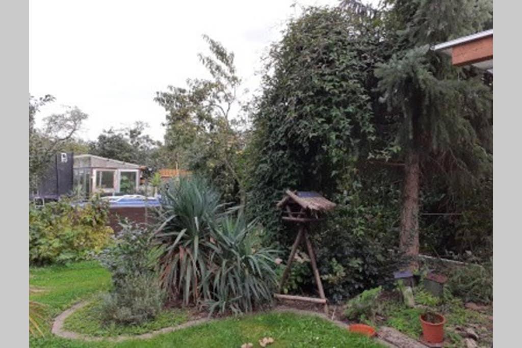 Gemütliche zentrumsnahe Ferienwohnungen mit Gemeinschaftsgarten Wittenberg Exterior foto