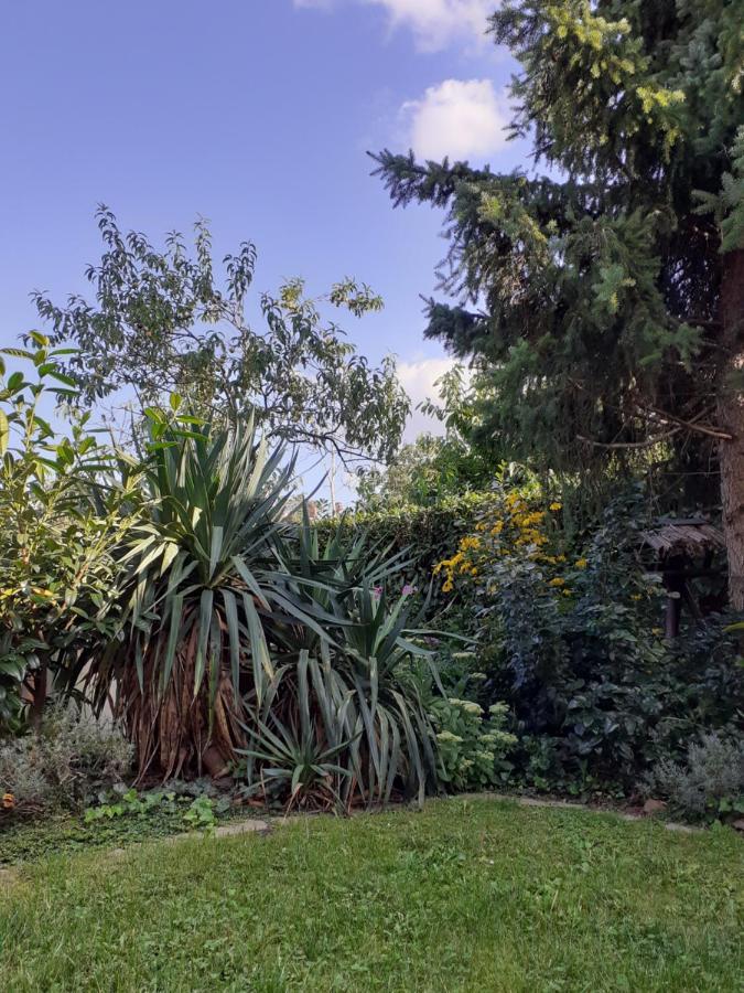 Gemütliche zentrumsnahe Ferienwohnungen mit Gemeinschaftsgarten Wittenberg Exterior foto